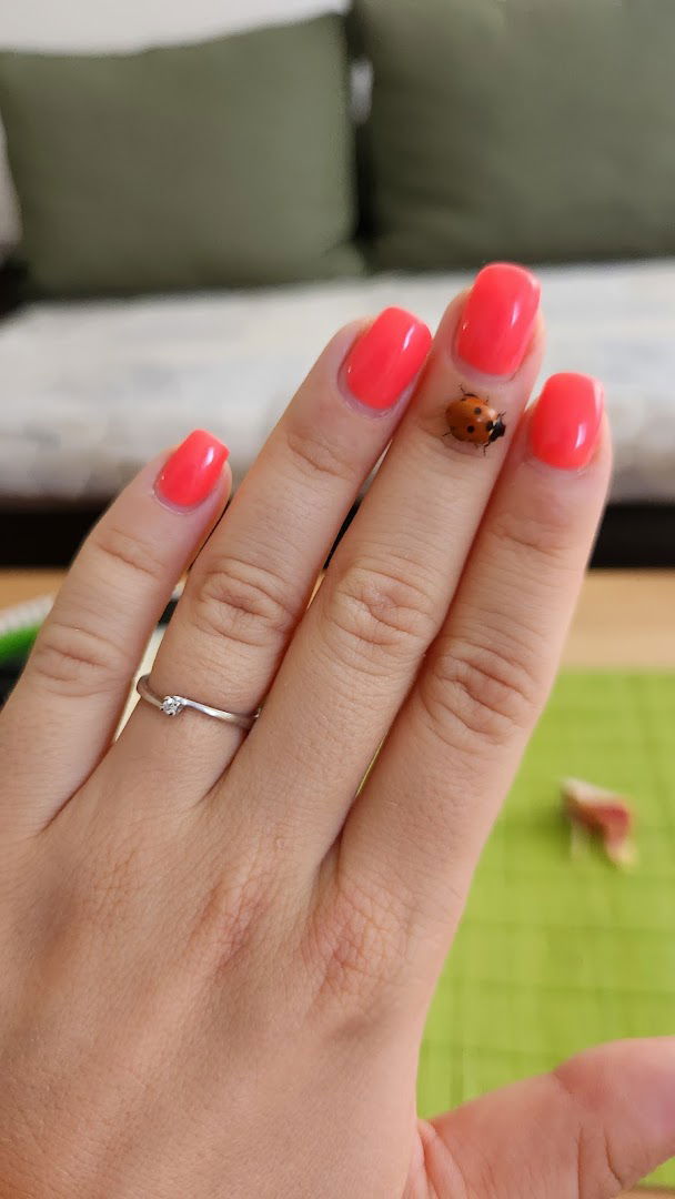 Beauty bar - salon lepote