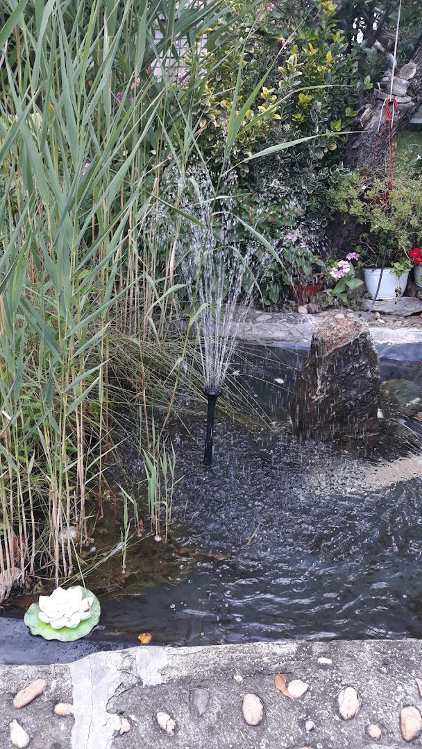 Predškolska ustanova „Meda-Žuta kuća”