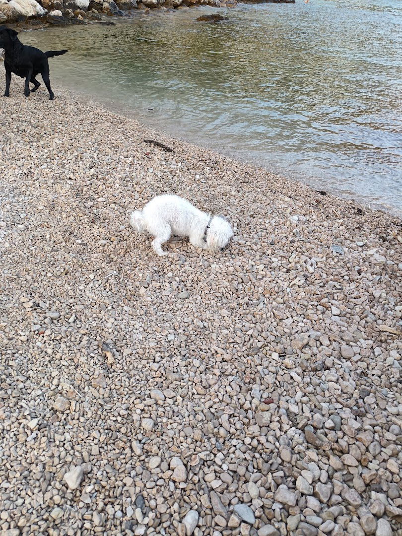 VETERINA OMIŠ j.d.o.o.