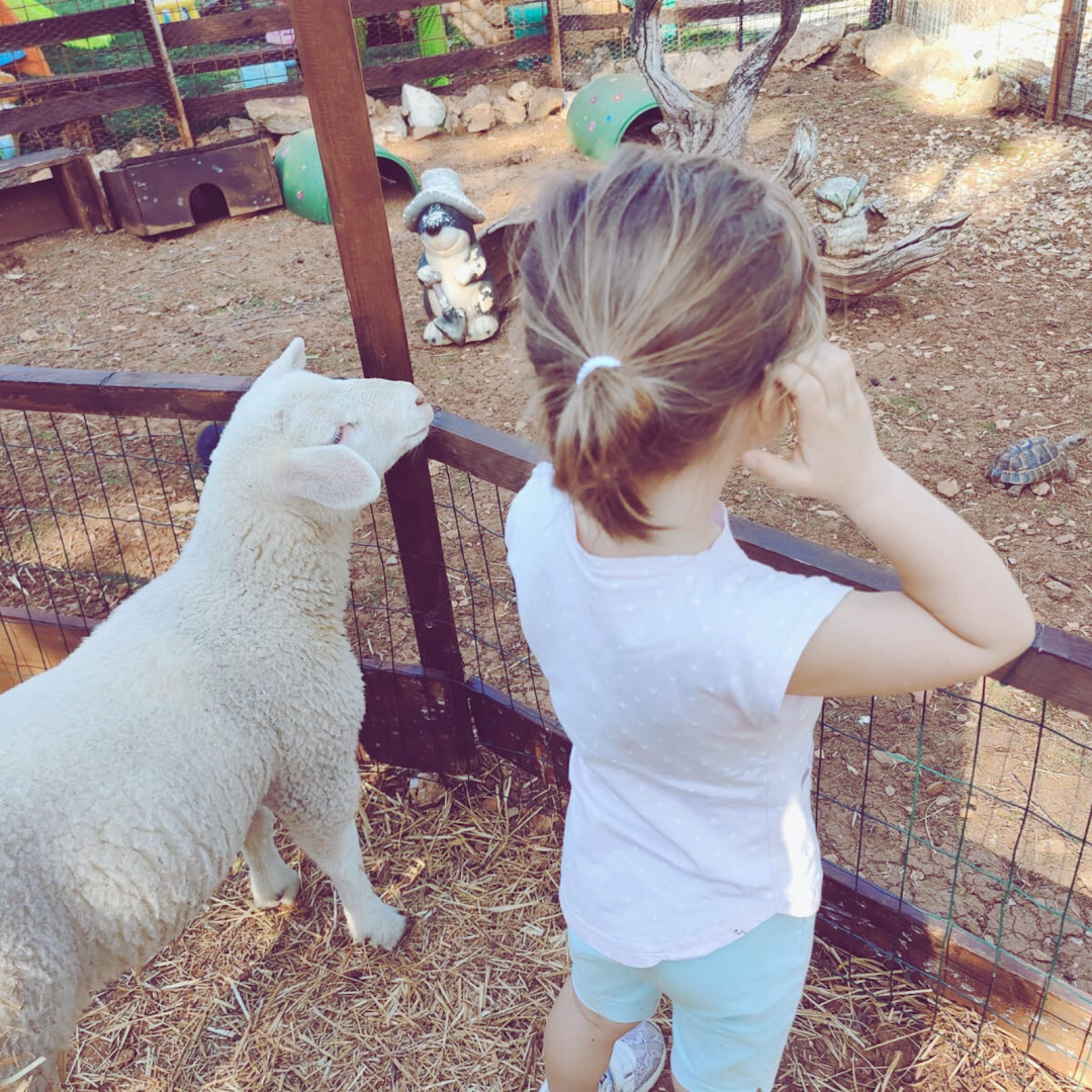 Beatrice, la gallina felice