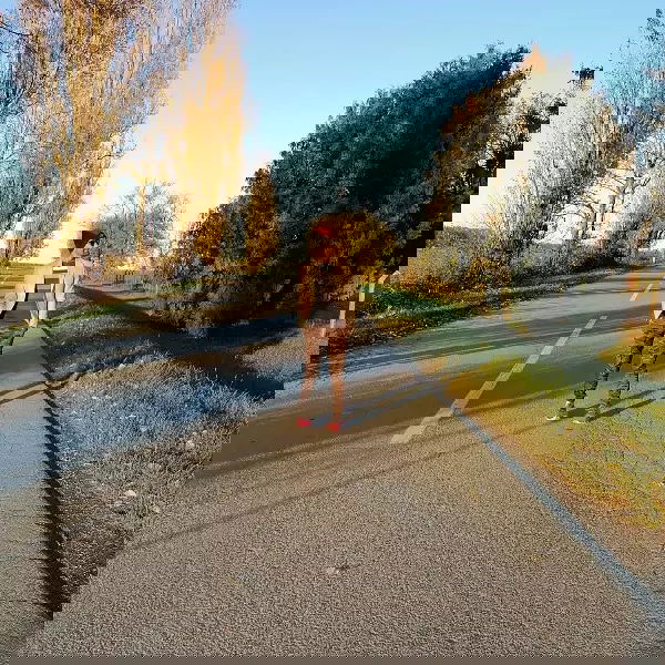 PP Orahovica - Centralno skladište