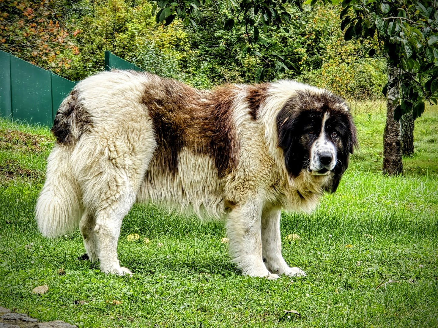 Kuća za odmor Mustapić ****