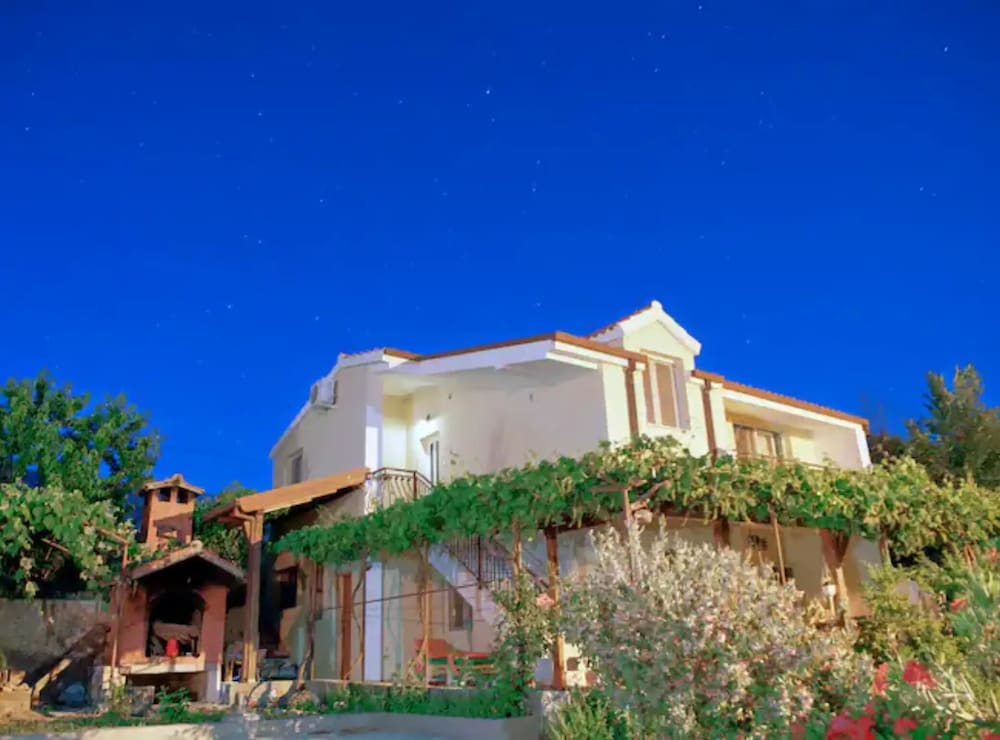 House of Green Experience