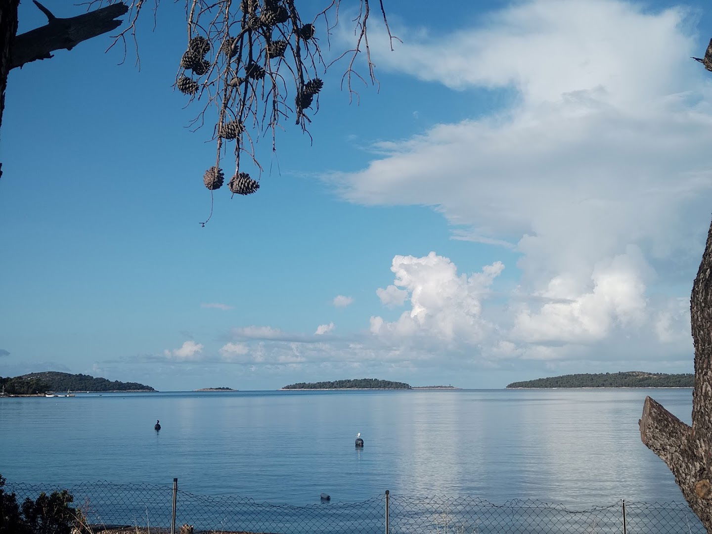 Apartments Stipe Belak