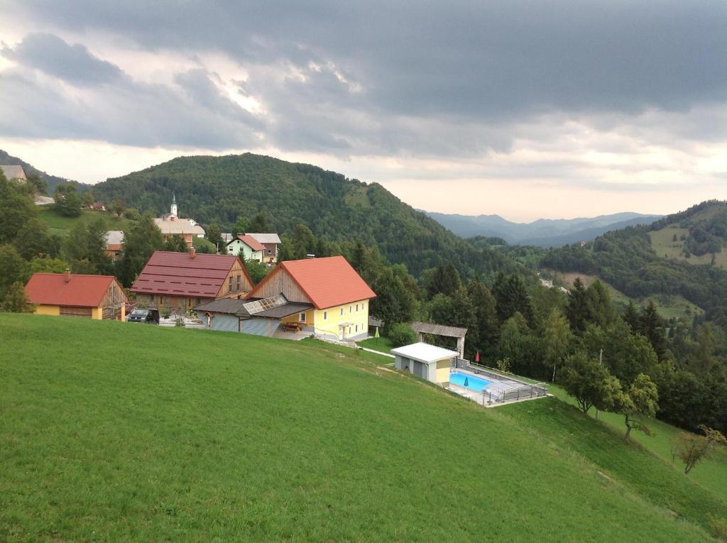 Sobodajalka Sonja Verčič, "Za Grapo"