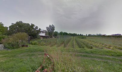 Andalenta Società Agricola Semplice