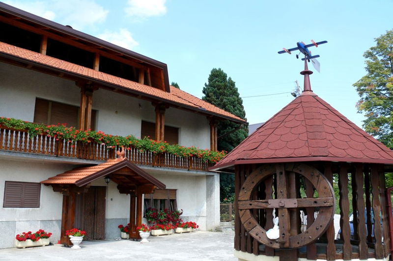 Vinogradarstvo i vinarstvo Golubić