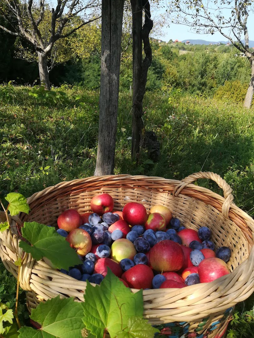 Bumerang, obrt za poslovno savjetovanje