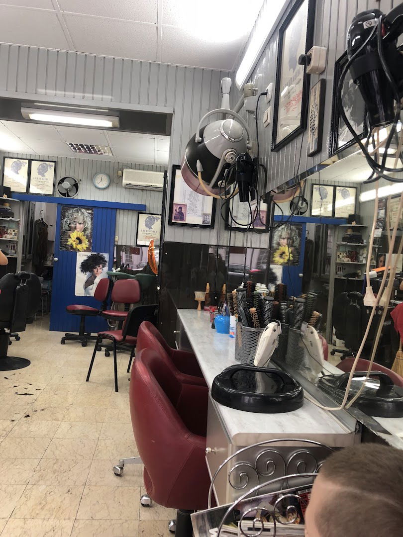 Snezana Radojicic Preduzetnik