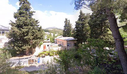 Boxing club "Salona"