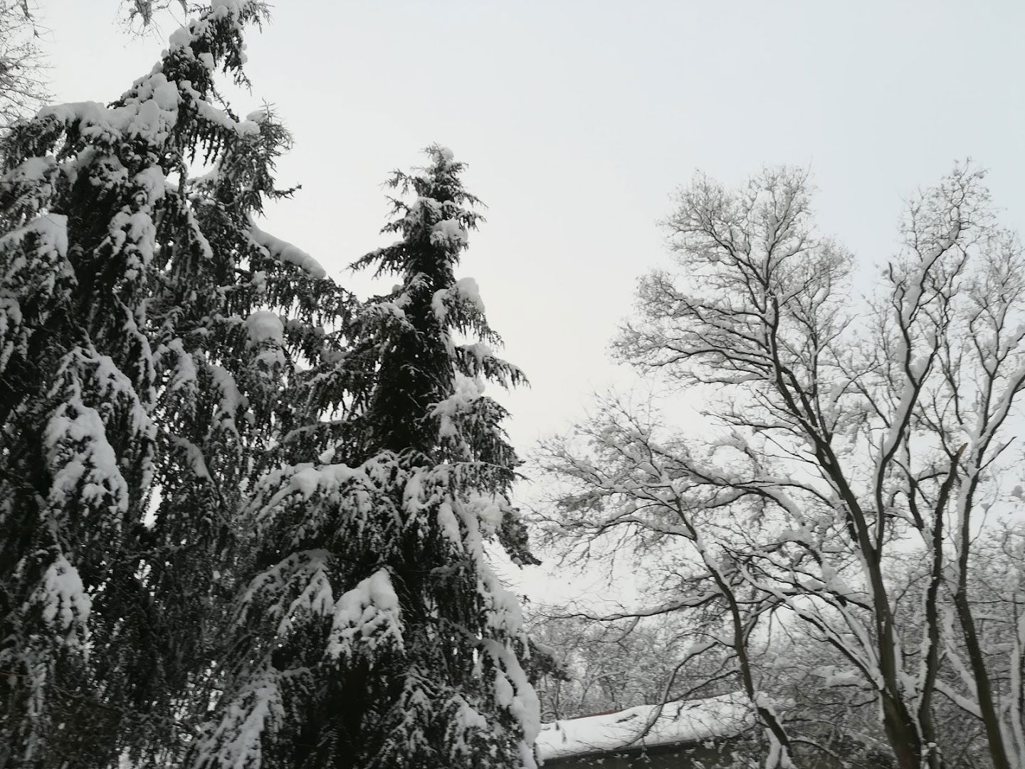 Public company "Nuclear Facilities of Serbia"