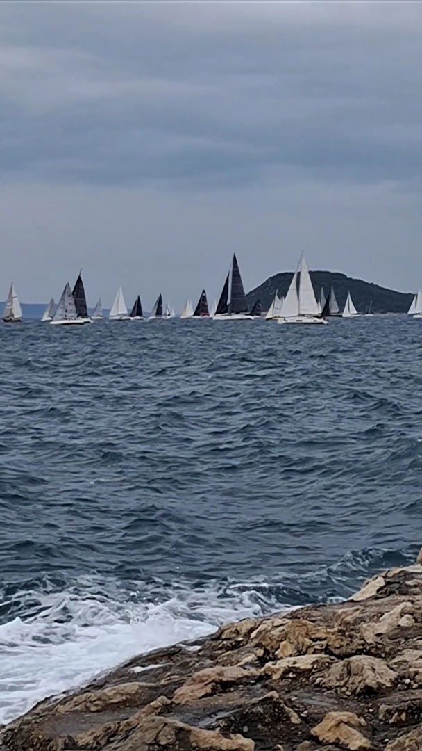Sculpture of Seagulls in flight