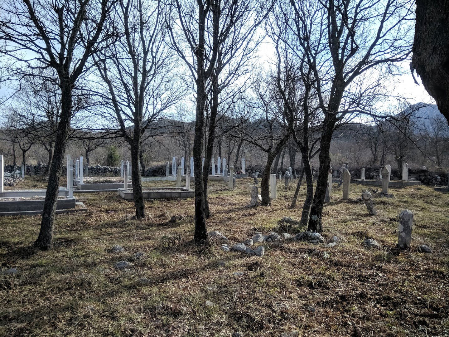 Hajdarovića harem-Kolojanj