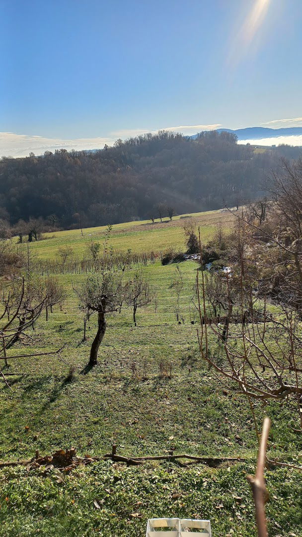 Brašljevica cemetery