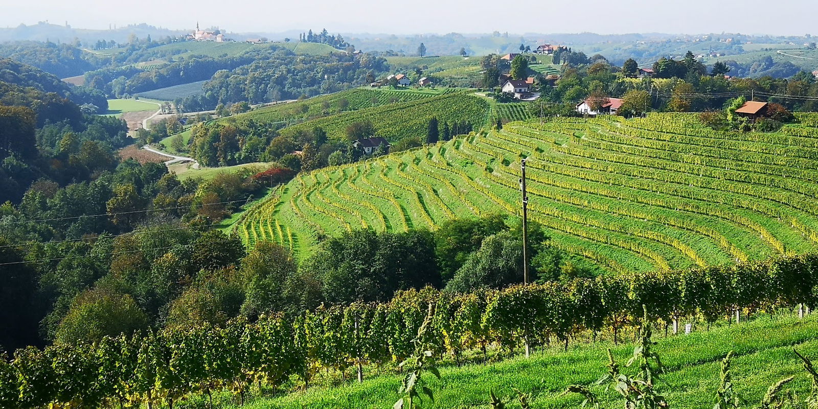 Vinski hram Jeruzalem