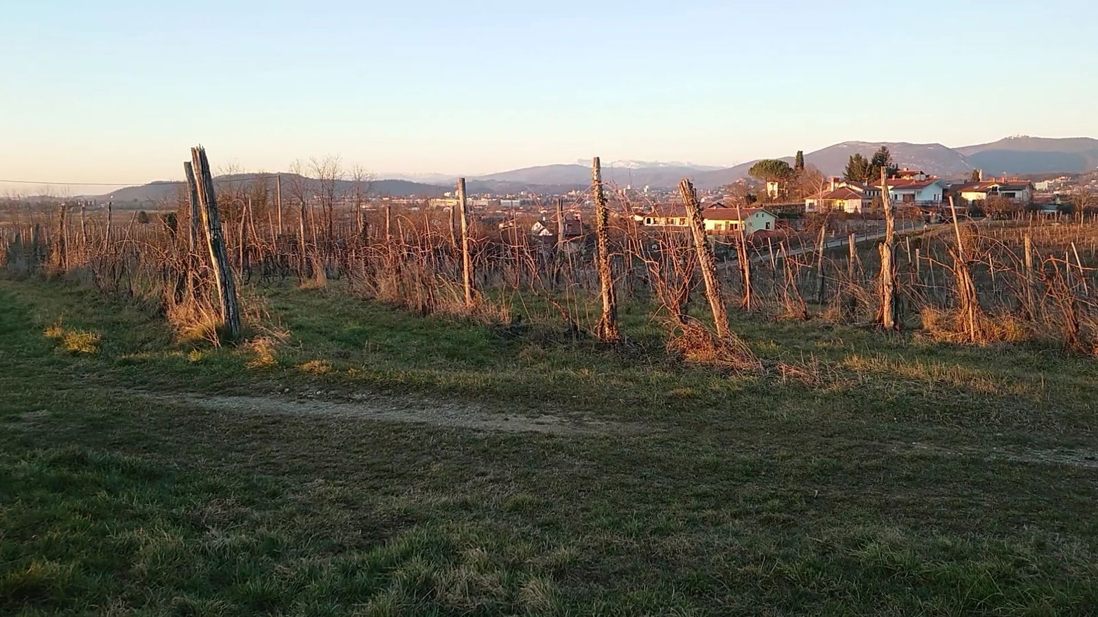 Vrtojbensko biljenski grici