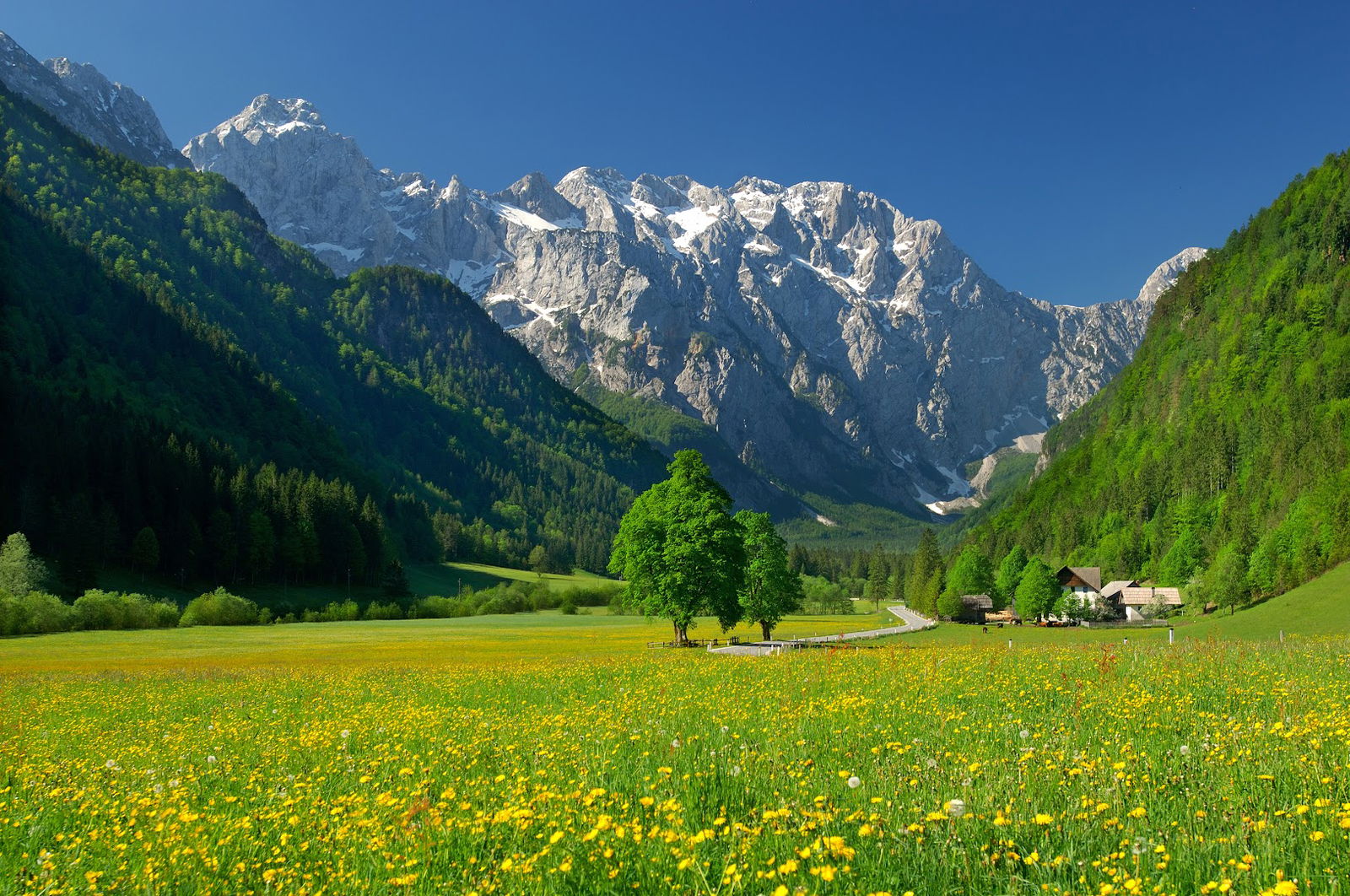 Center rinka, zavod za turizem in trajnostni razvoj Solčavskega