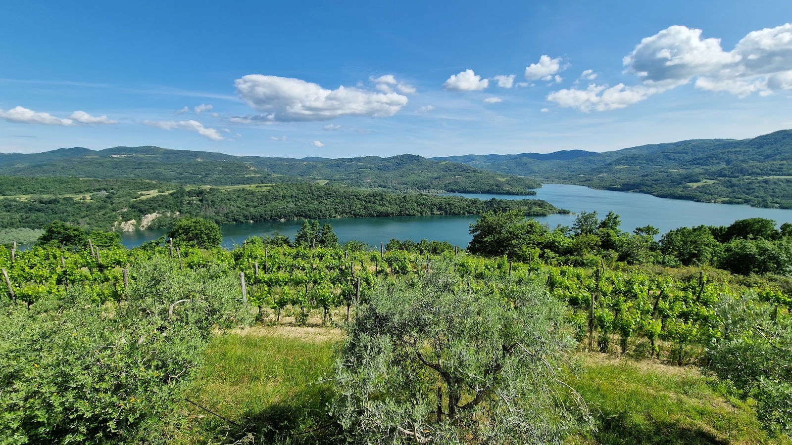 Viewpoint on Lake Butoniga