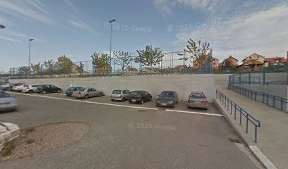 Vasić Basketball Court