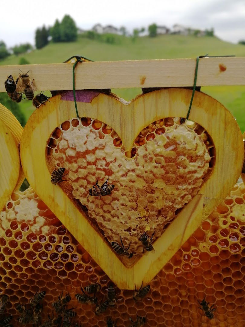 Čebelarstvo Beekeeping Tovornik