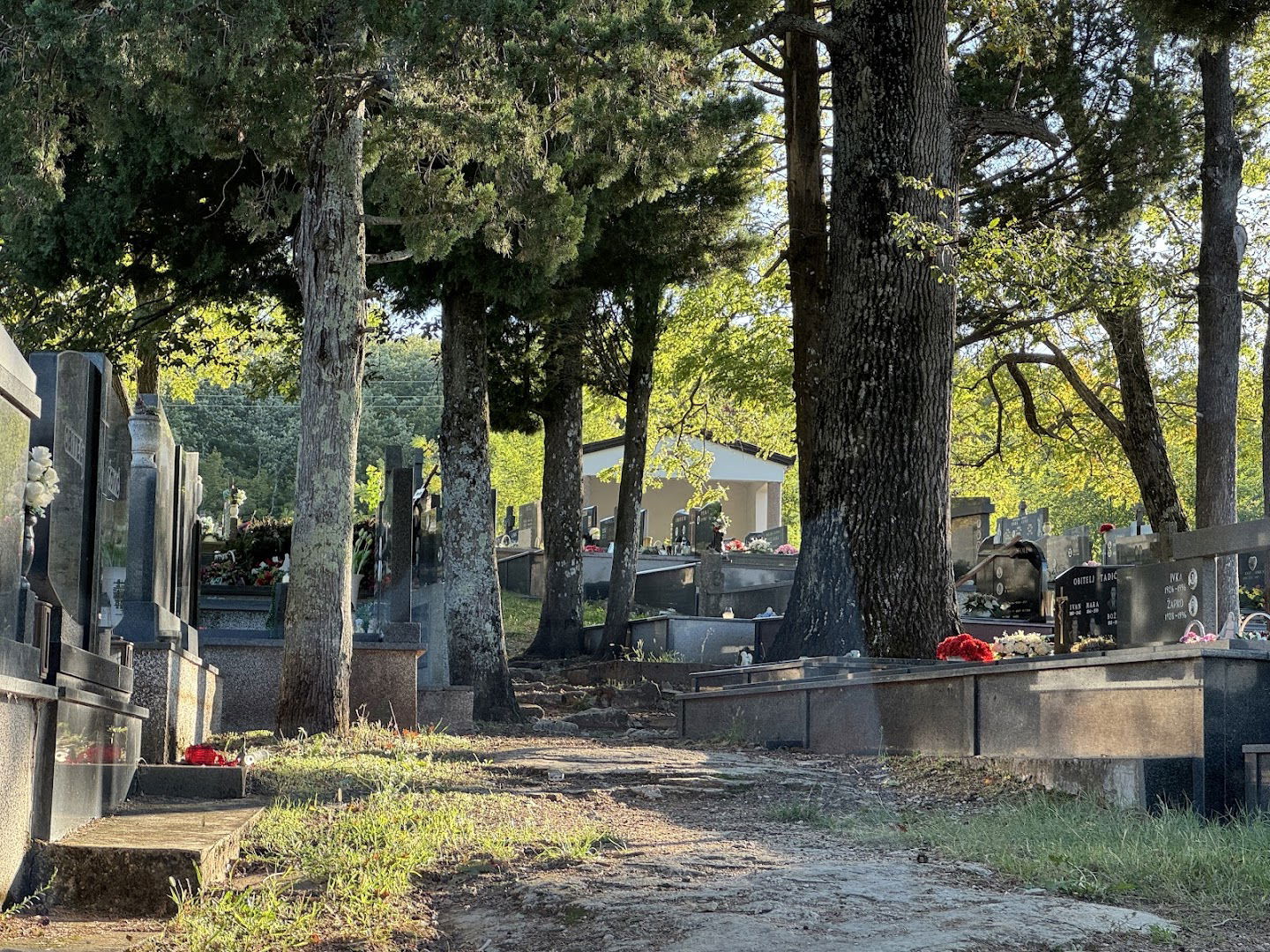 Katoličko groblje Kraljevine