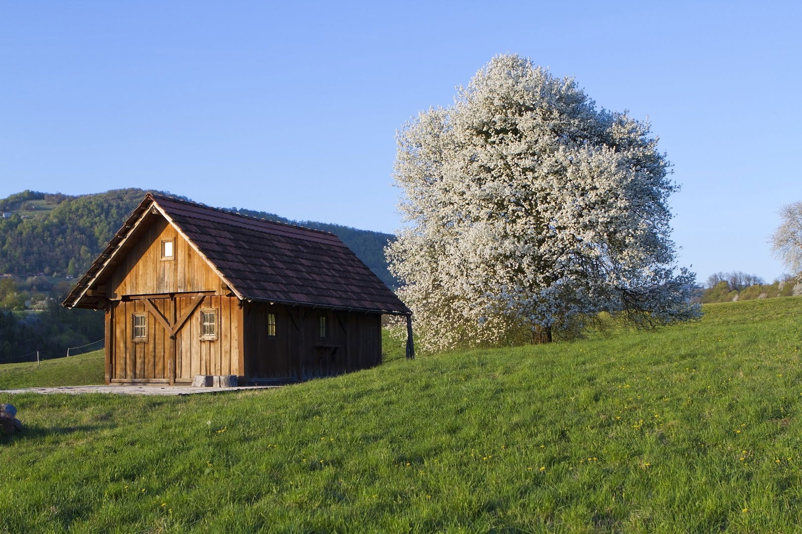 Koča strica Romana