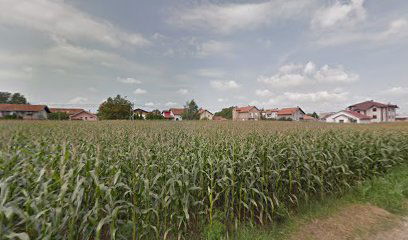 Puškinova 3, Surčin