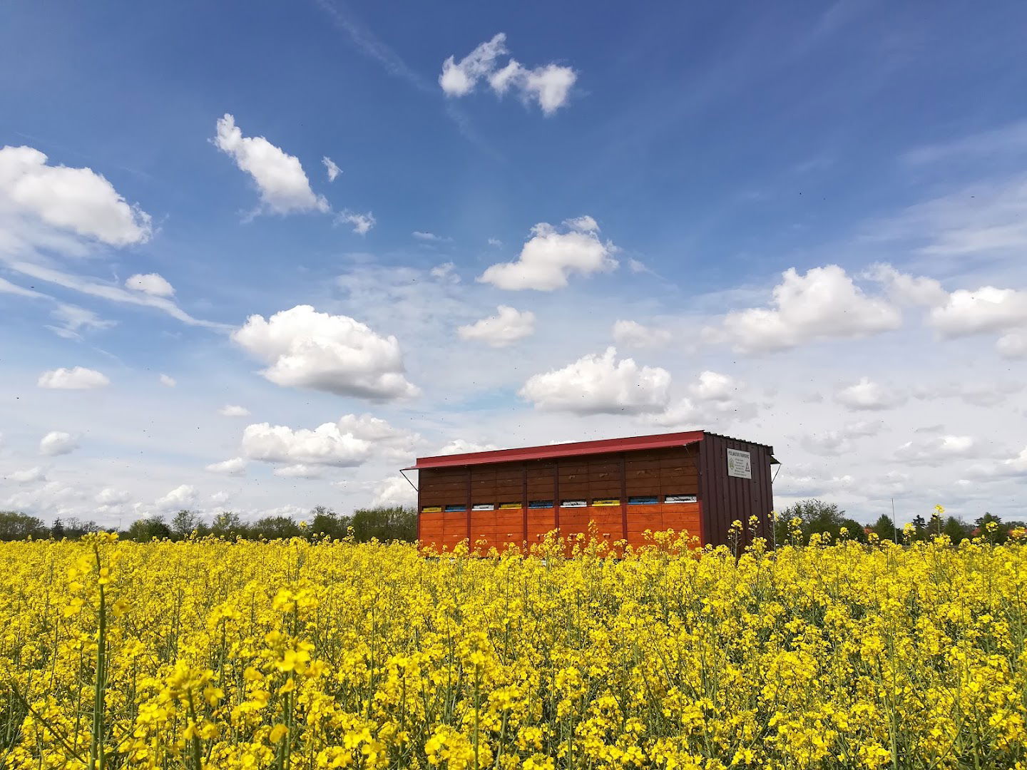 Pčelarstvo Trupković