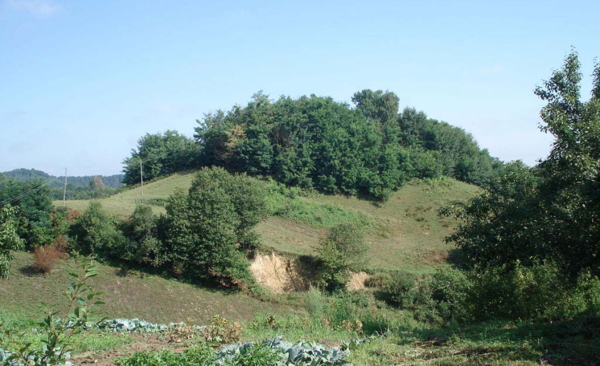 Stari grad Steničnjak