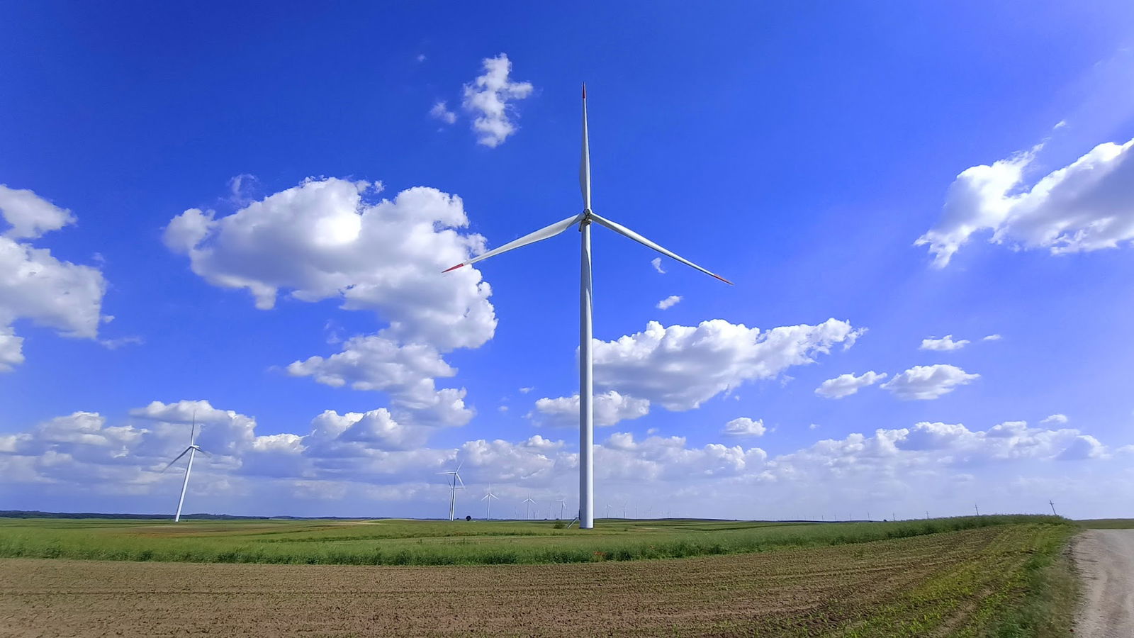 Ветропарк "Чибук 1"