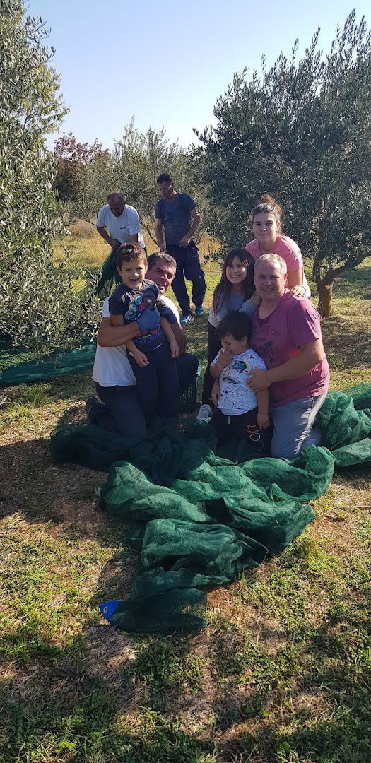 OPG Tomislav Perica, Maslinik Velim 1