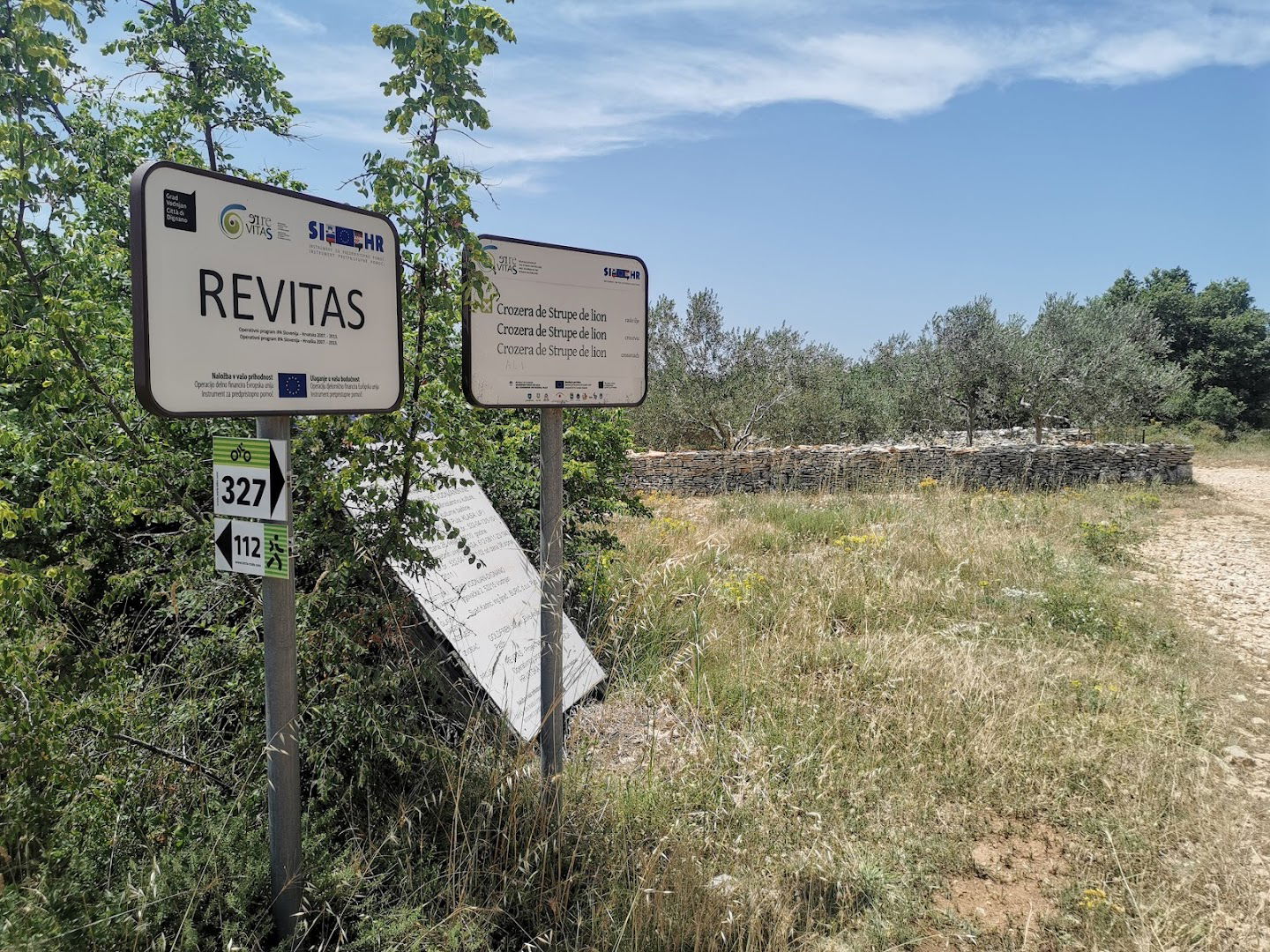 Crozera de Strupe De Lion