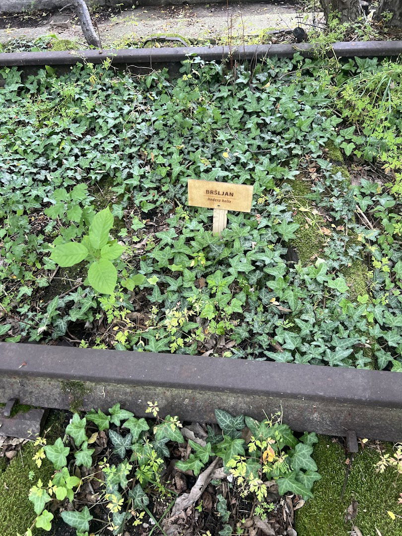 Meli Plants Botanical Garden