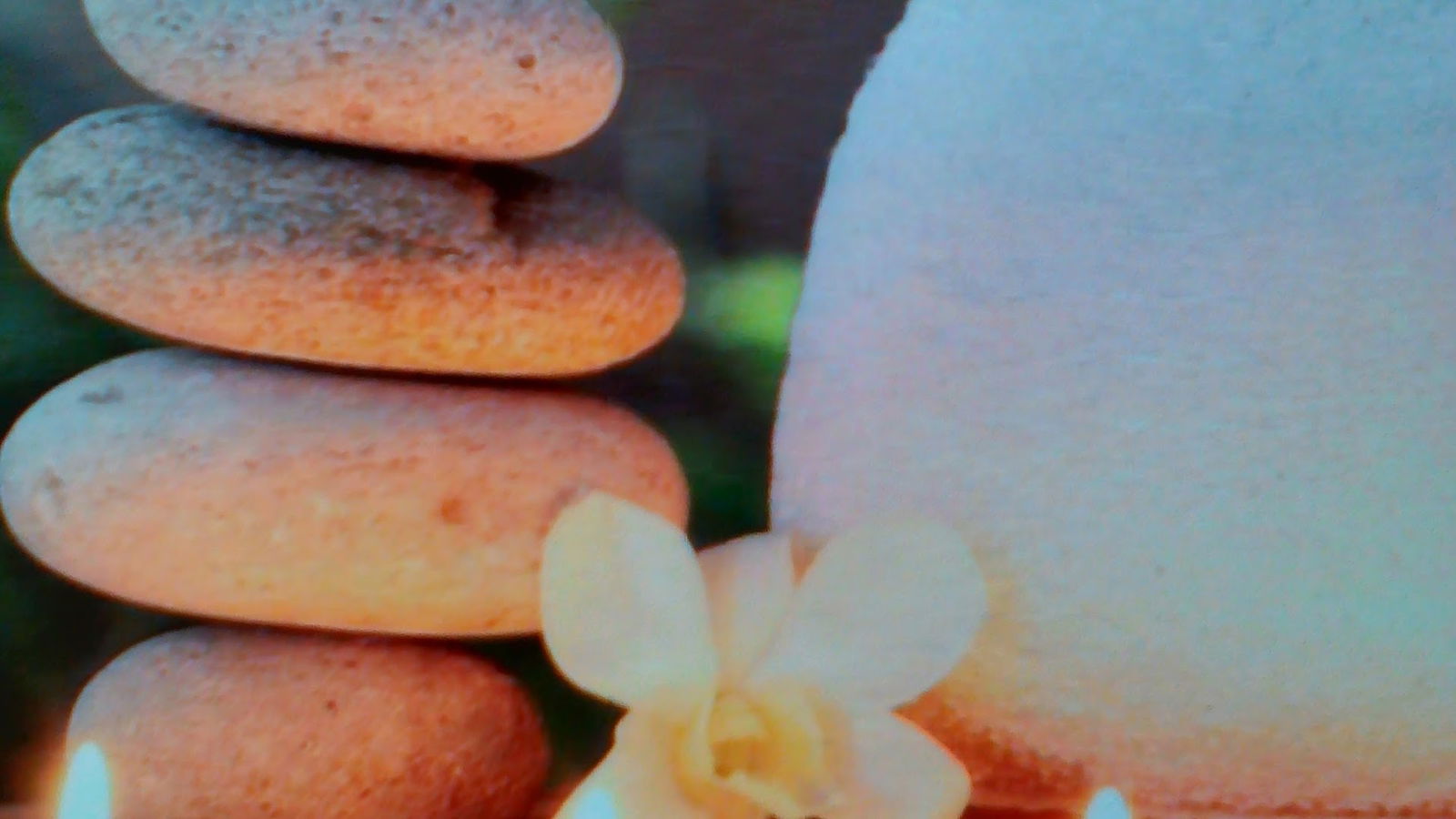 Drumski prevoz transporta