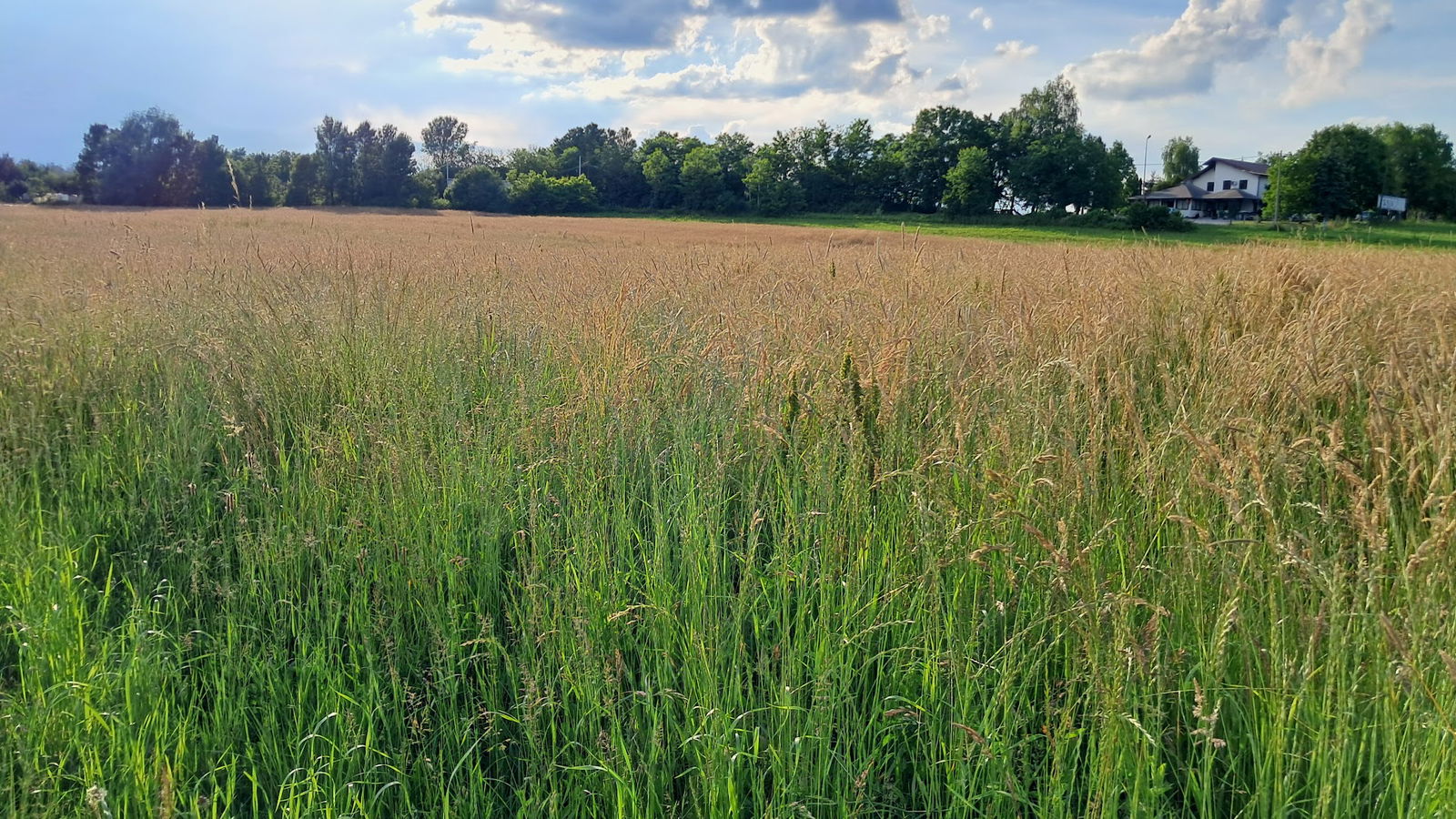 Dječje igralište "Kanadski"