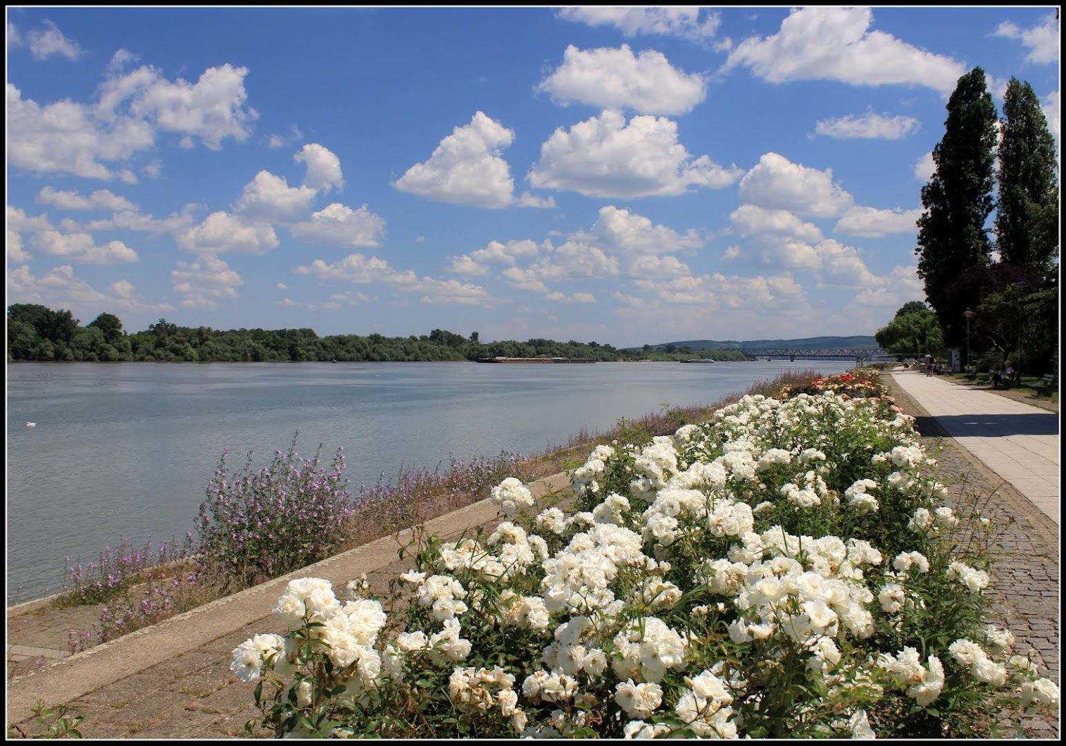 Dorćol /SRC Milan Gale Muškatirović/