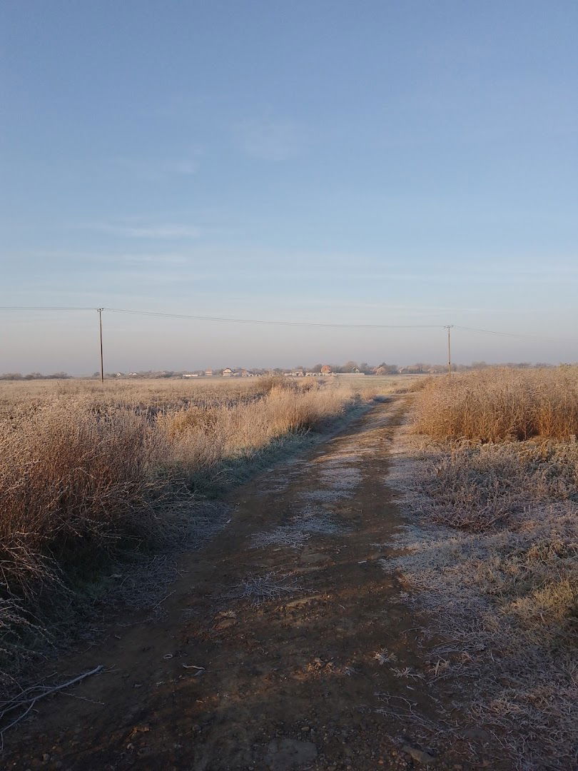 Старо Михајлово