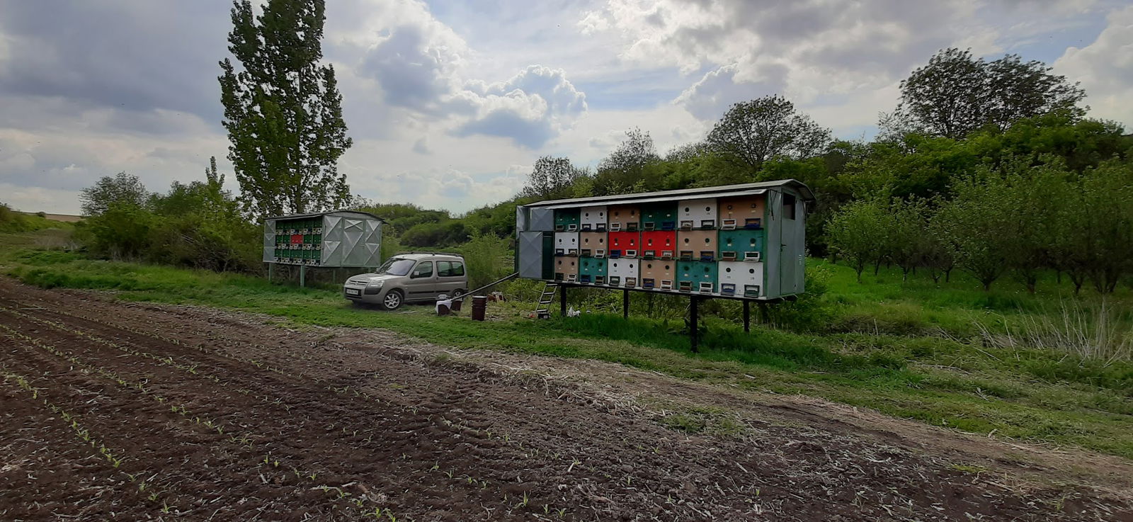 Pčelarstvo Bežanović