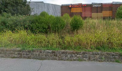 Associazione culturale Trieste Swing