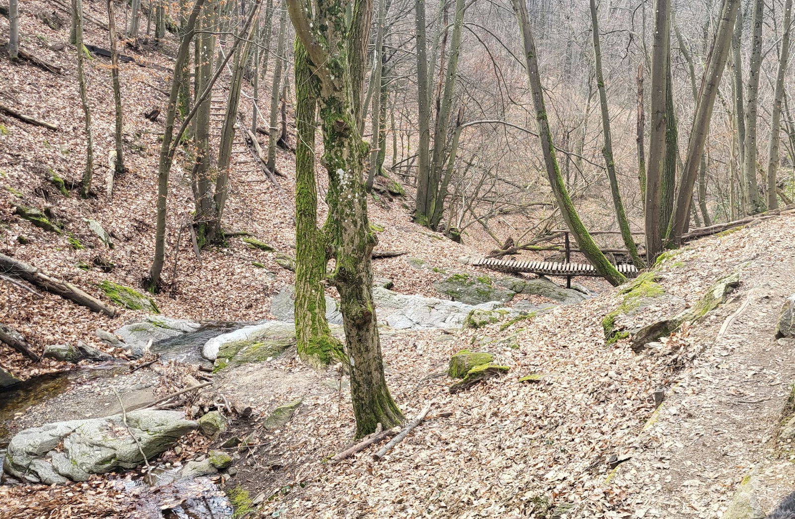 Poučna staza Crkveni Jarak