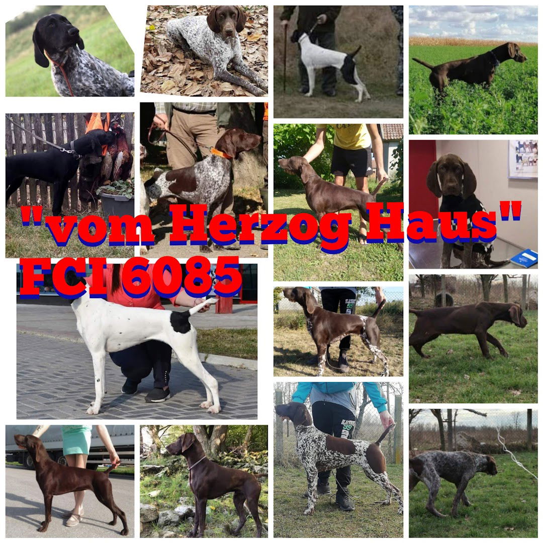 Kennel vom Herzog Haus