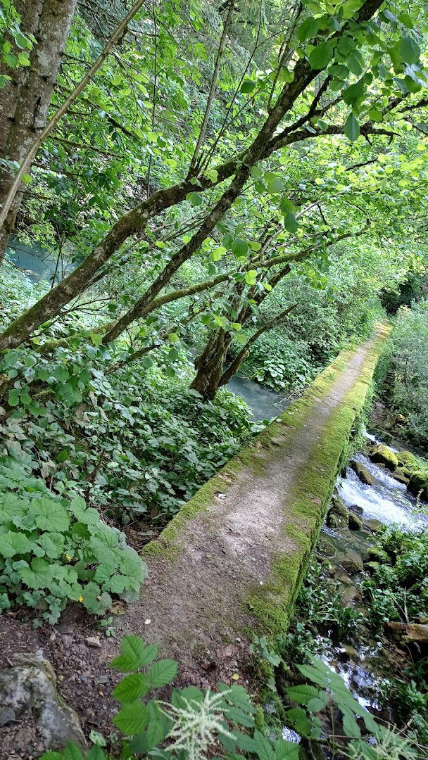 Izvir Loškega potoka