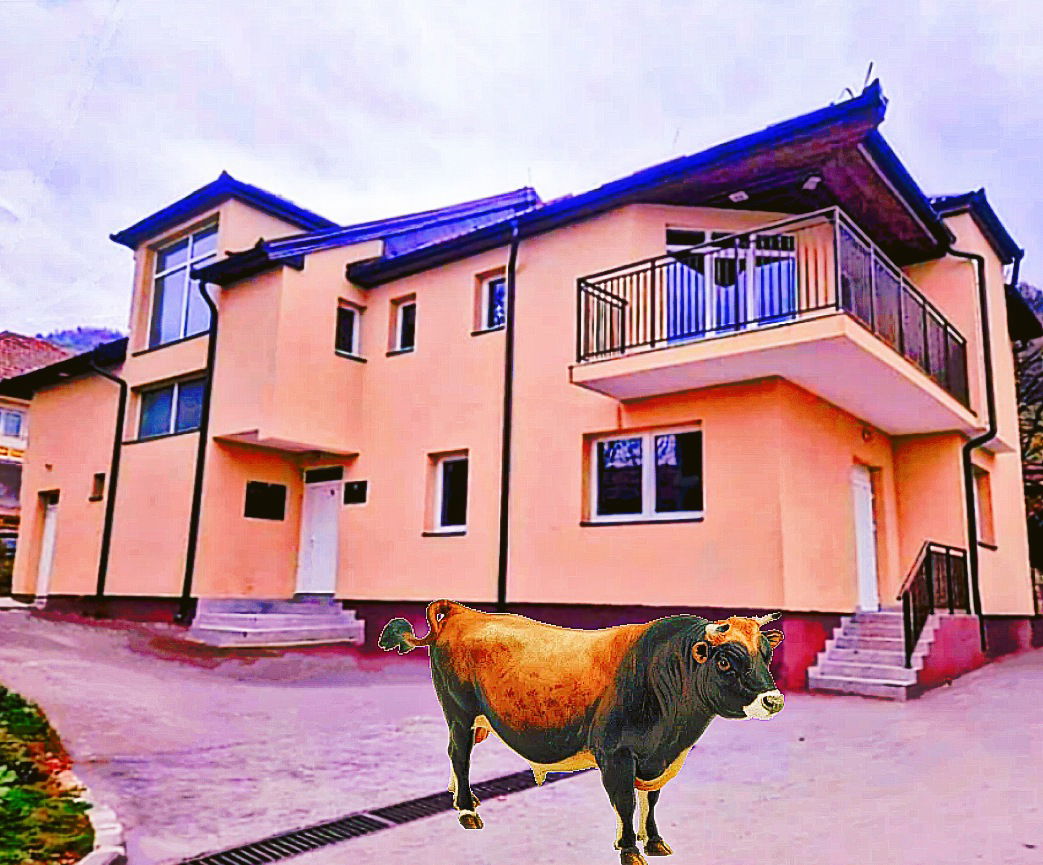 Mjesna zajednica Gorica