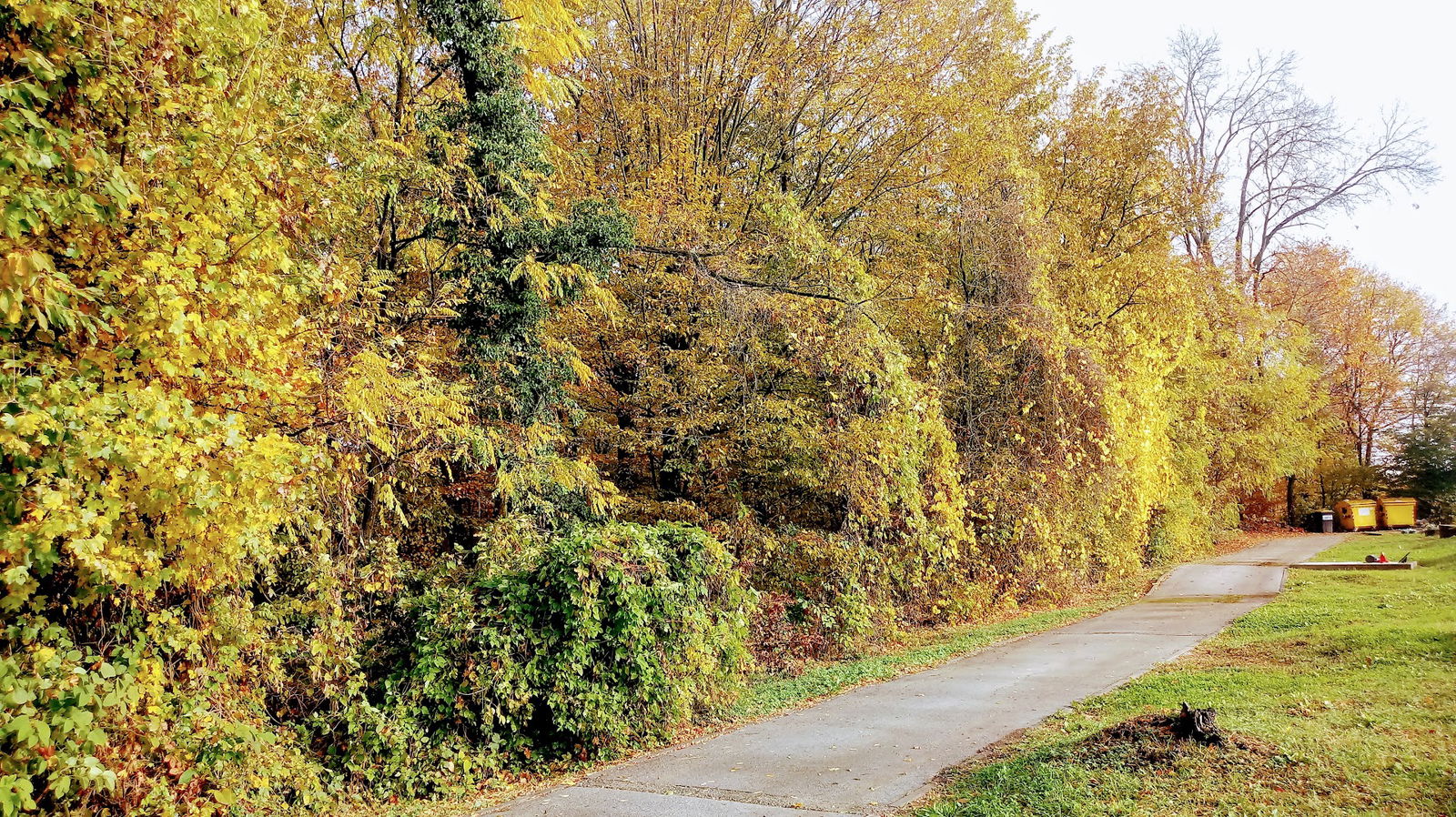 Old cemetery Dugo Selo