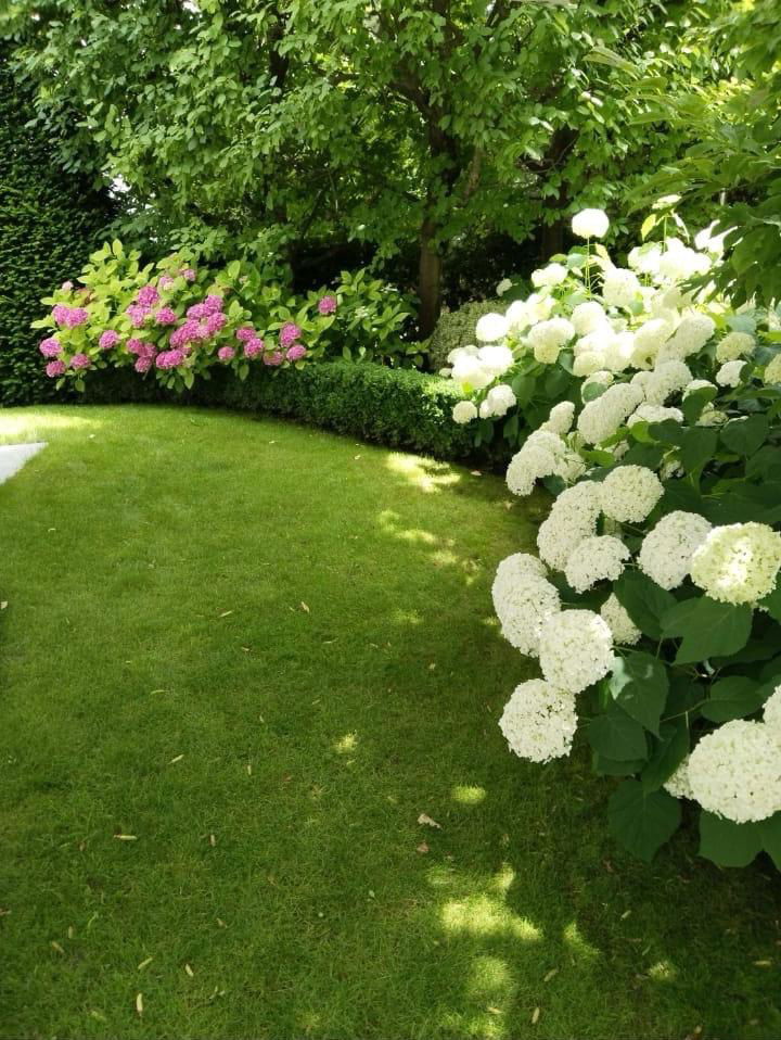 баштовански радови