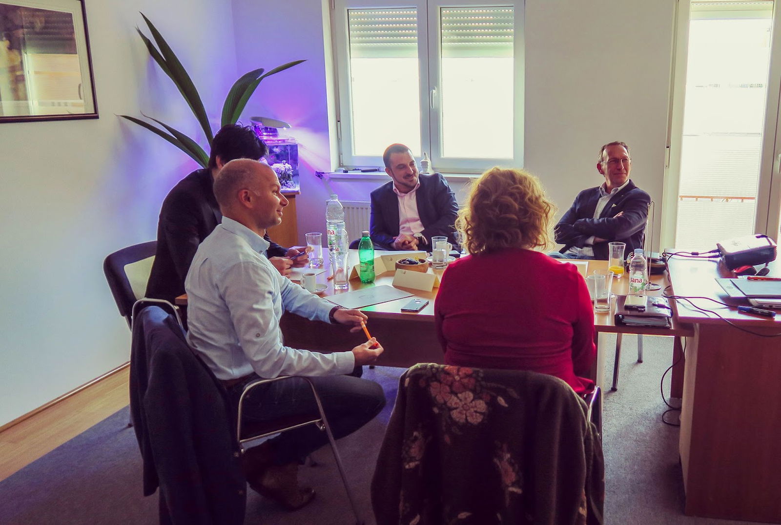 Acta Non Verba International