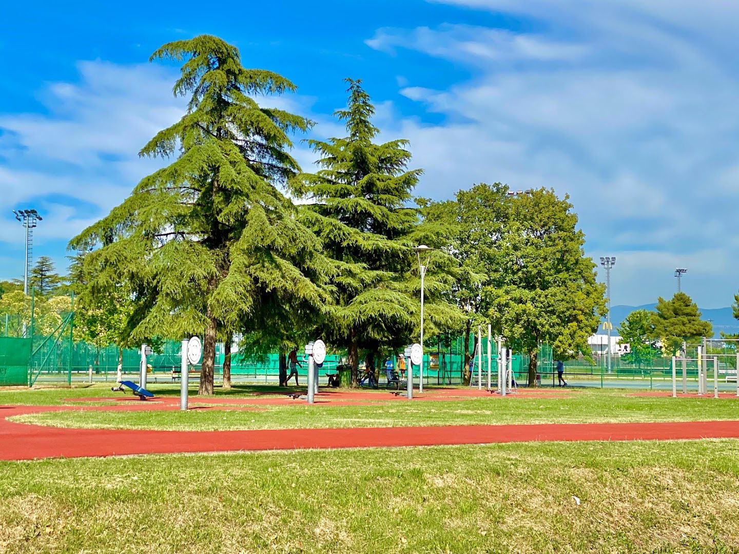 Open Gym - Calisthenics