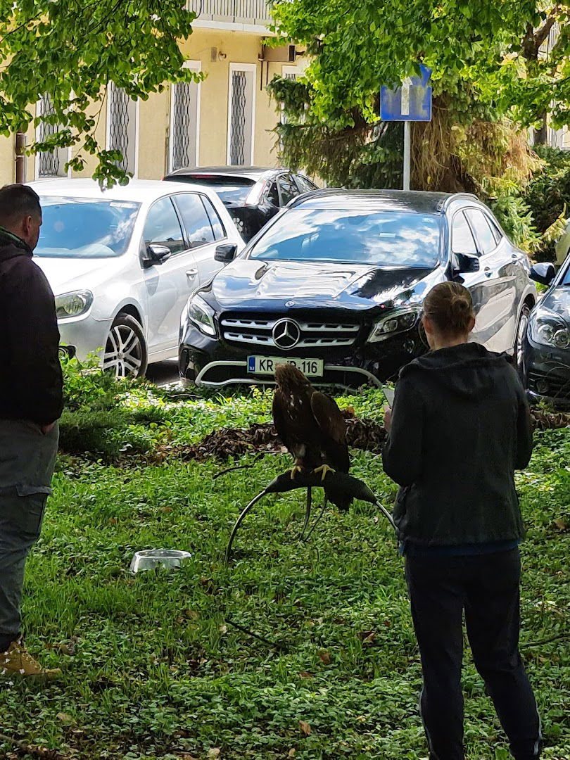 Veterinarska fakulteta, Inštitut za perutnino, ptice, male sesalce in plazilce