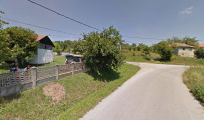 Timočki put (srednji deo)