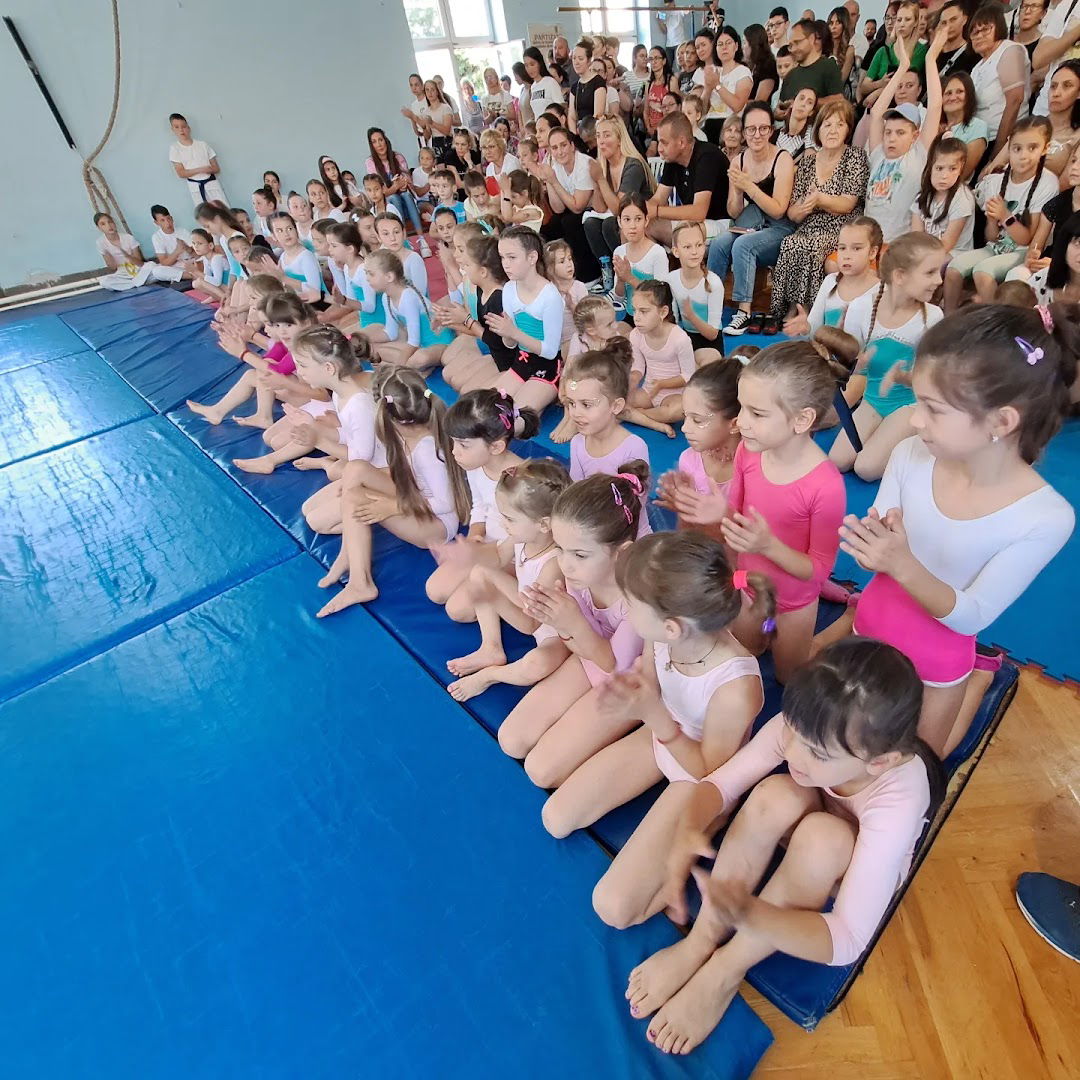 Sokolsko društvo Batajnice - sportsko društvo